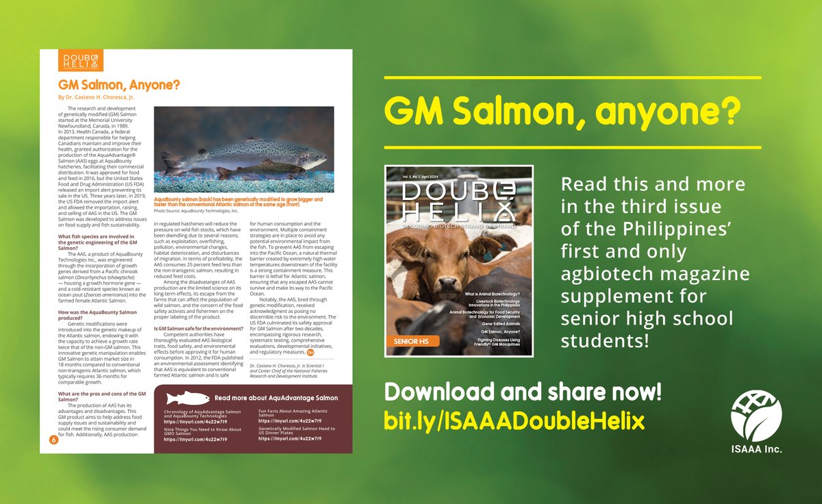 ISAAASciSpeaks's tweet photo. GM Salmon, anyone? Learn about AquAdvantage Salmon, the salmon that grows to its market size in 18 months instead of 36. Download Double Helix, the Philippines' first and only magazine supplement on #agbiotech for senior high school students here: https://t.co/sWy1b8lsBL https://t.co/OIFIk7jjwi