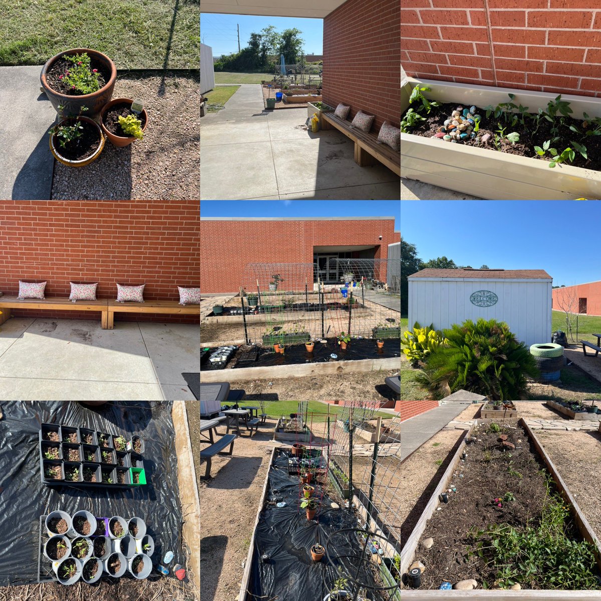More garden pics!🪴🌺 <a href="/MetzlerKISD/">Metzler Elementary</a> <a href="/KleinISD/">Klein ISD</a> <a href="/BooneDanis/">Danis Boone</a> <a href="/MissDyson3/">Jada Dyson, M. Ed</a>