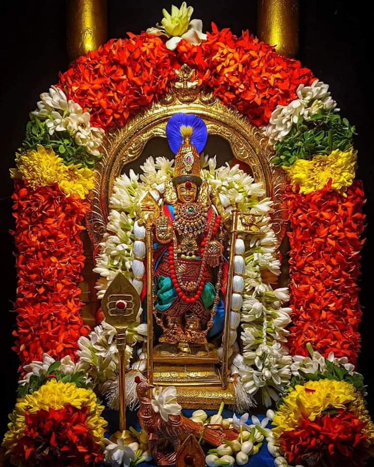 விதி செய்யும் சதி யாவும் முருகா என்றிட மறைந்தே போகும்...
வாட்டும் வினையும் வேலவா என்றிட வந்த வழி சென்றே மறையும்....
எக்கால பயமும் இல்லாது கம்பீர வாழ்வருளும் கந்தனே போற்றி போற்றி 🙏