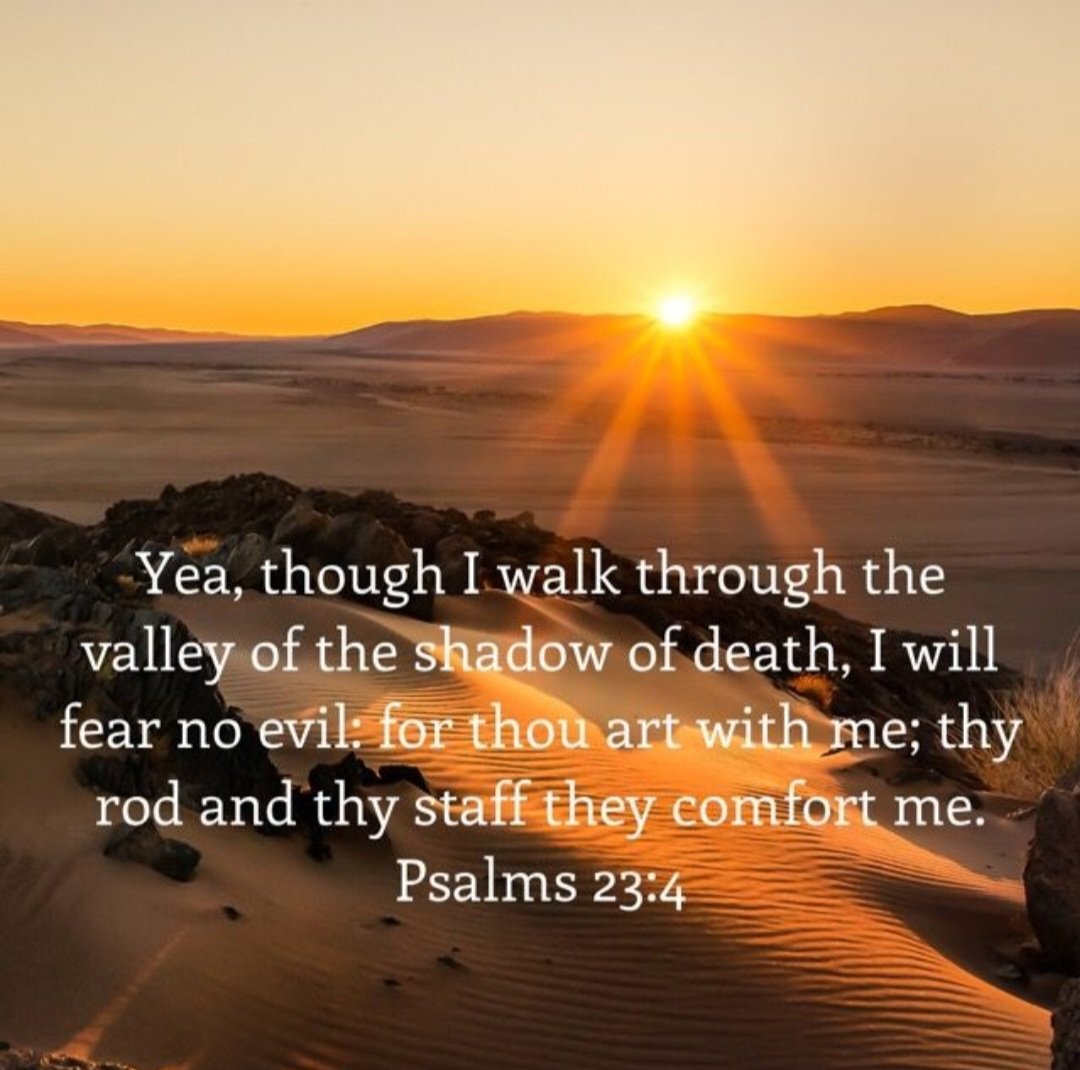 Yea, though I walk through the valley of the shadow of death, I will fear no evil: for thou art with me; Thy rod and thy staff they comfort me. Psalm 23:4