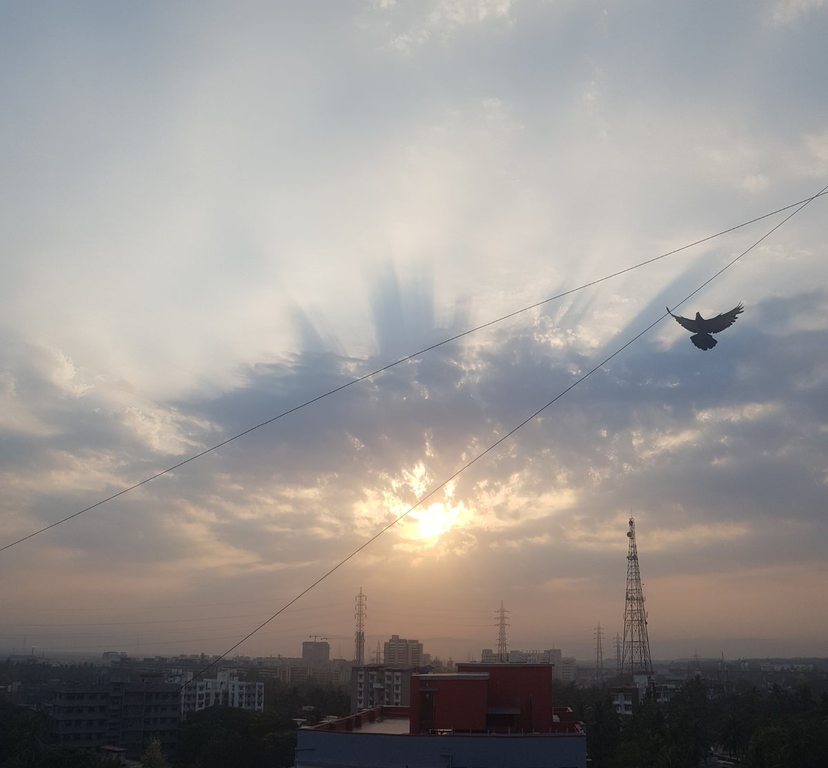 Miracles in the morning skies 💫

#connectwithself 
#connectwithnature