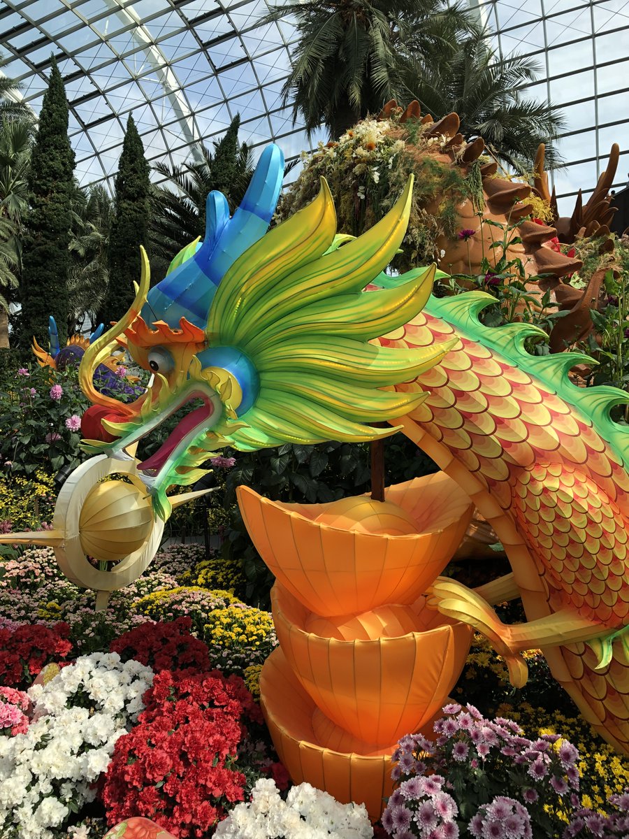 We spent Lunar New Year in Singapore this year. We expected to see a few dragons to usher in the Year of the Dragon. We had no idea... #Singapore #LunarNewYear #Dragons @VisitSingapore fiveyearsproject.blogspot.com/2024/04/singap…
