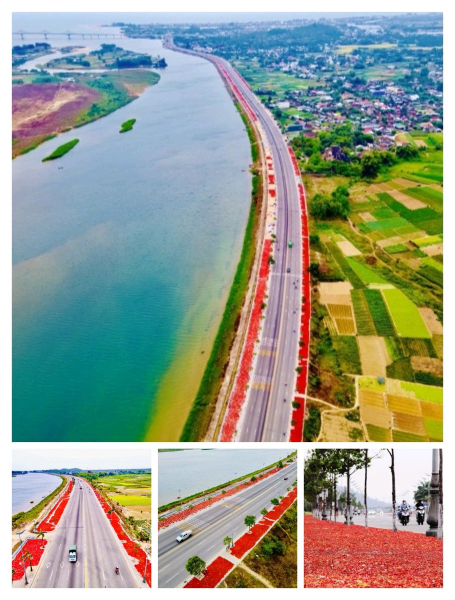 Kiennguyen tweet media