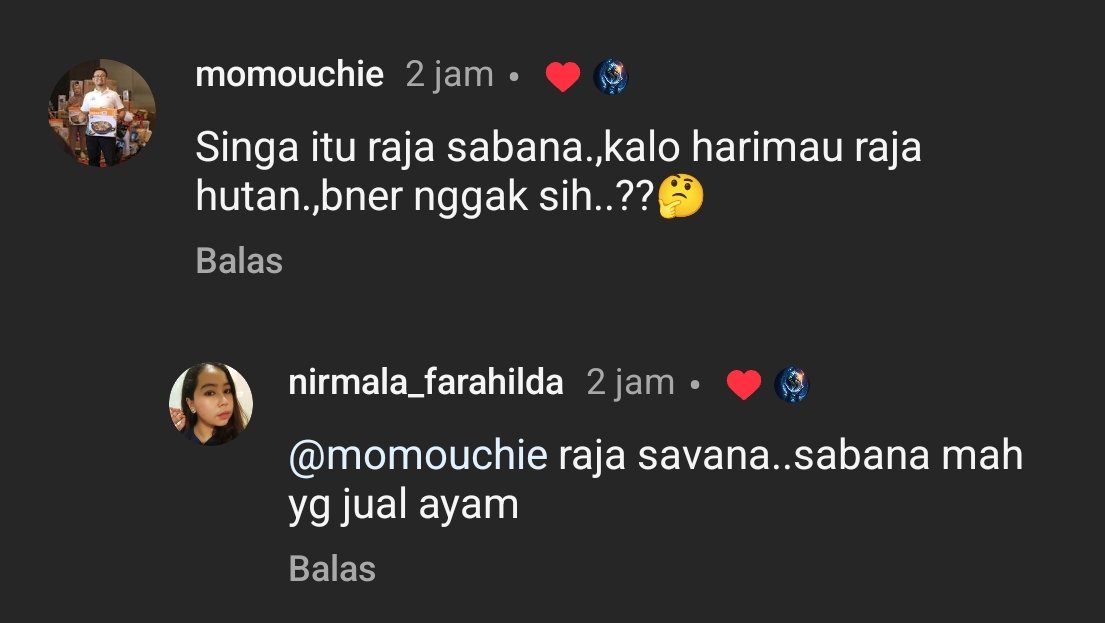 armando_sng's tweet photo. Singa nya tiap hari makan sabana ygy~ https://t.co/KQesAm1YXW