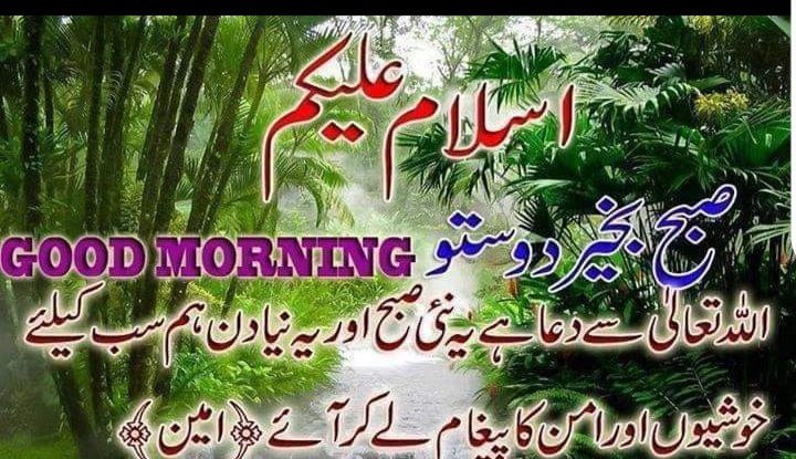 Assalam o Alaikum Friends .... How are you? .... Have a good beautiful morning .... Say ameen.