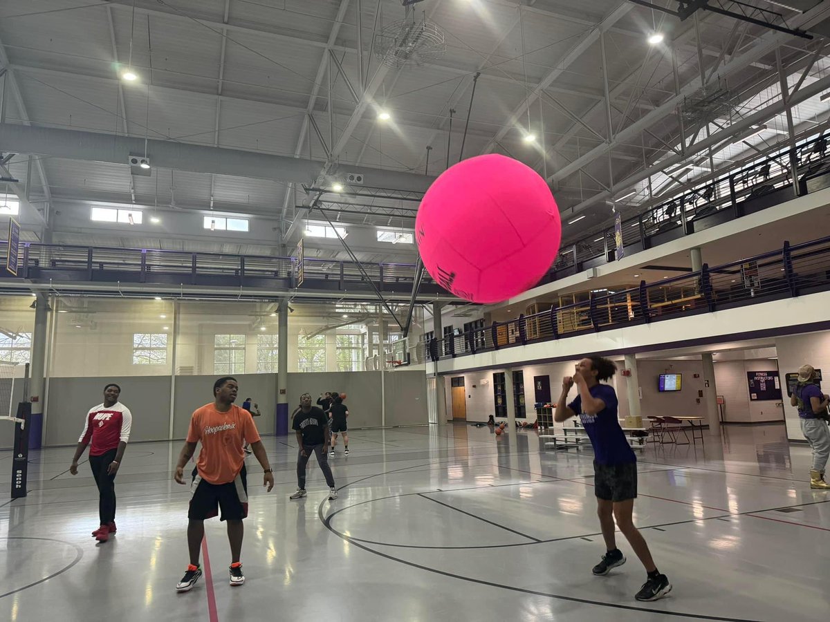 Preeminent Ladies Society tweet media