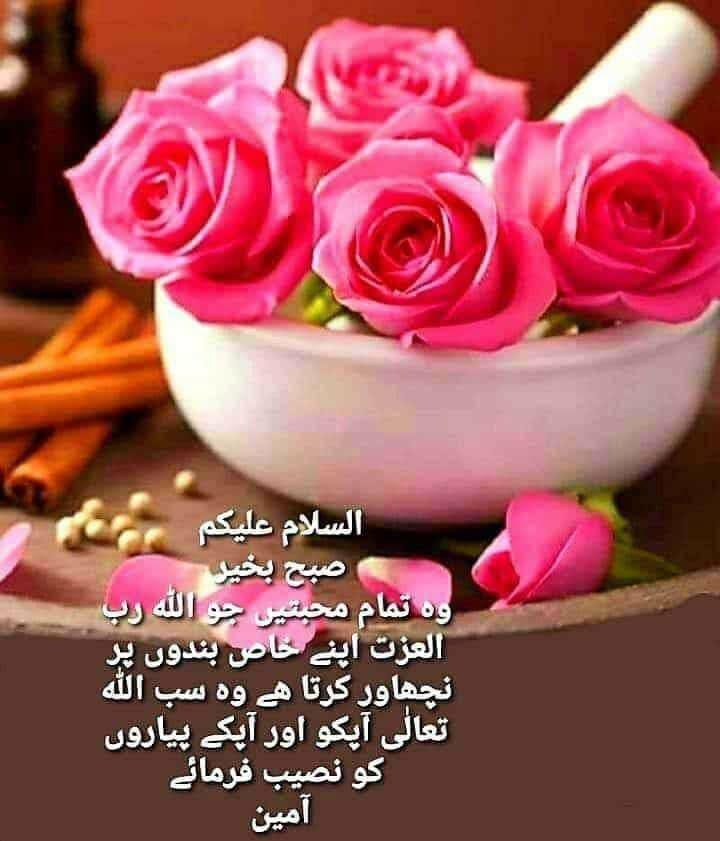سب دوستوں کو صبح کا سلام 🌹🌹🌹🌹🌹