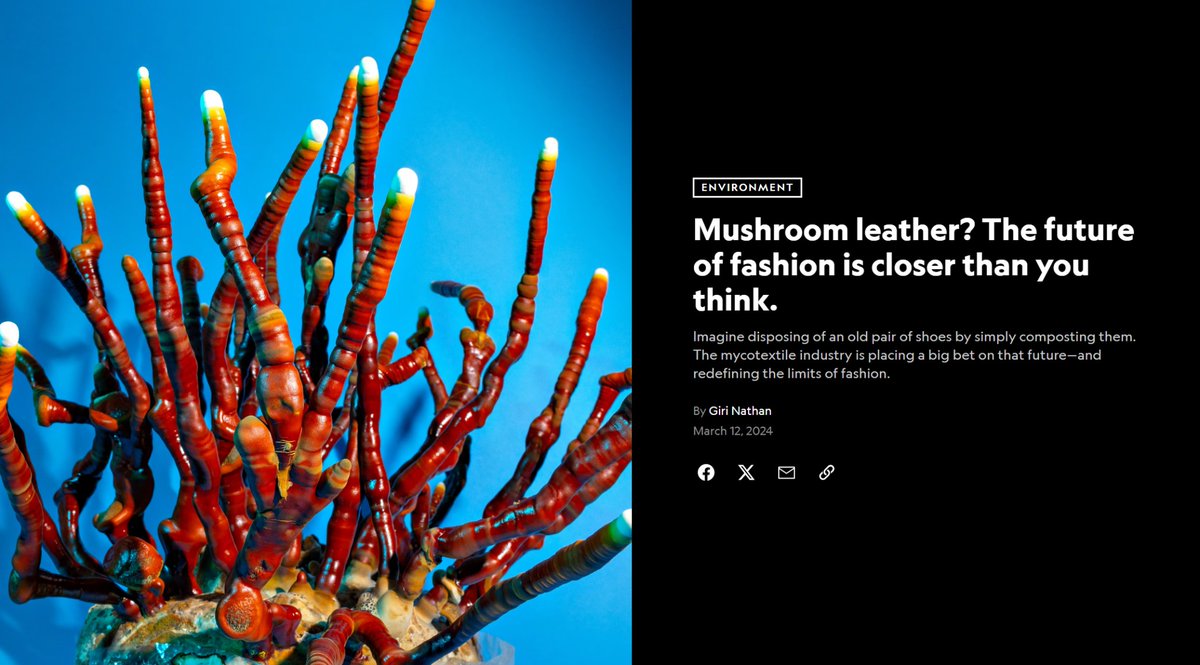 We are proud to share that our client, @MycoWorksInc was recently highlighted in an issue of @natgeophotos_ 

To read visit:
nationalgeographic.com/environment/ar…

#mycoworks #fashion #nationalgeographic #Sustainability  #luxury