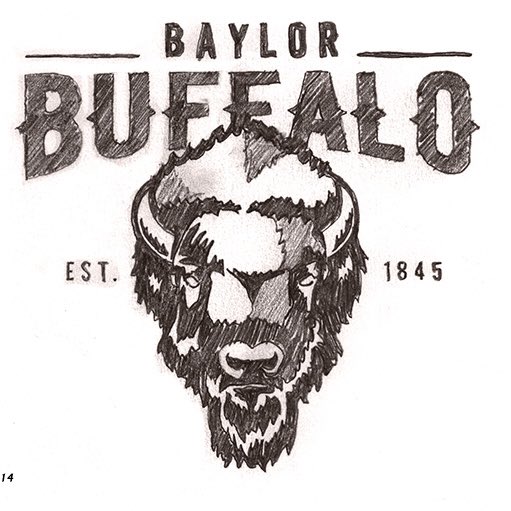 Did you know that in 1914 Baylor students voted for the Bears to become the official school mascot. Here were some of the other options on the ballot: • Ferrets • Frogs • Antelopes • Eagles • Buffalo • Bookworms