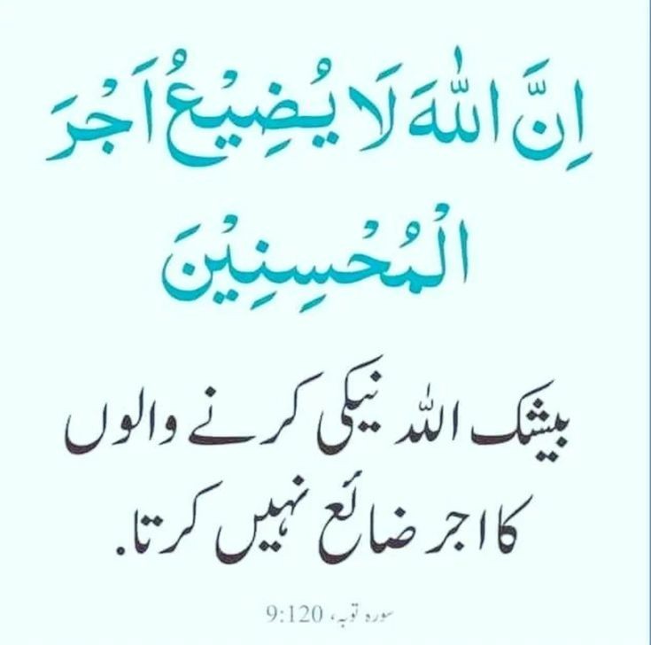 Shama G🇵🇰 tweet media