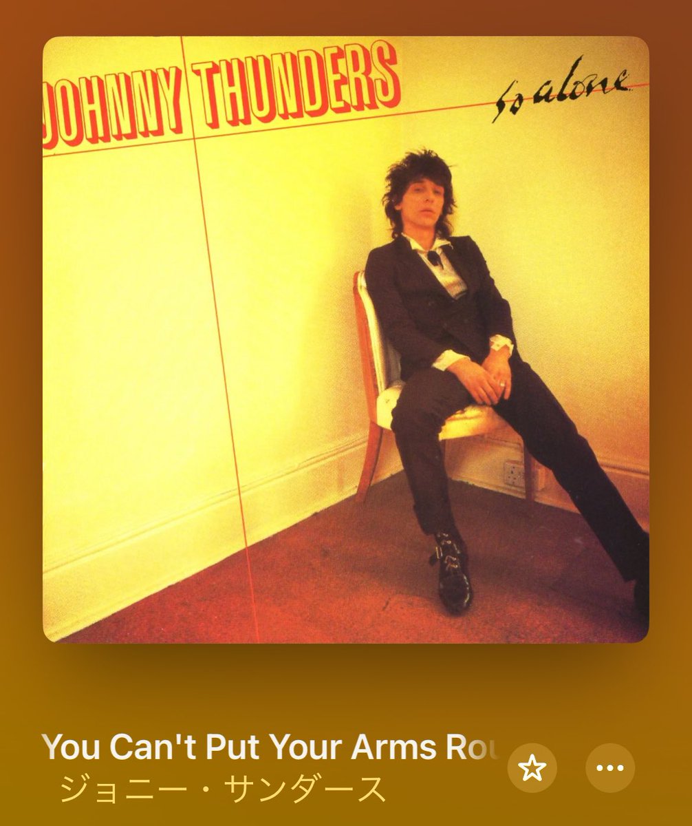 出かける前にジョニーサンダースを。
名曲中の名曲。
#johnnythunders 
#ジョニーサンダース