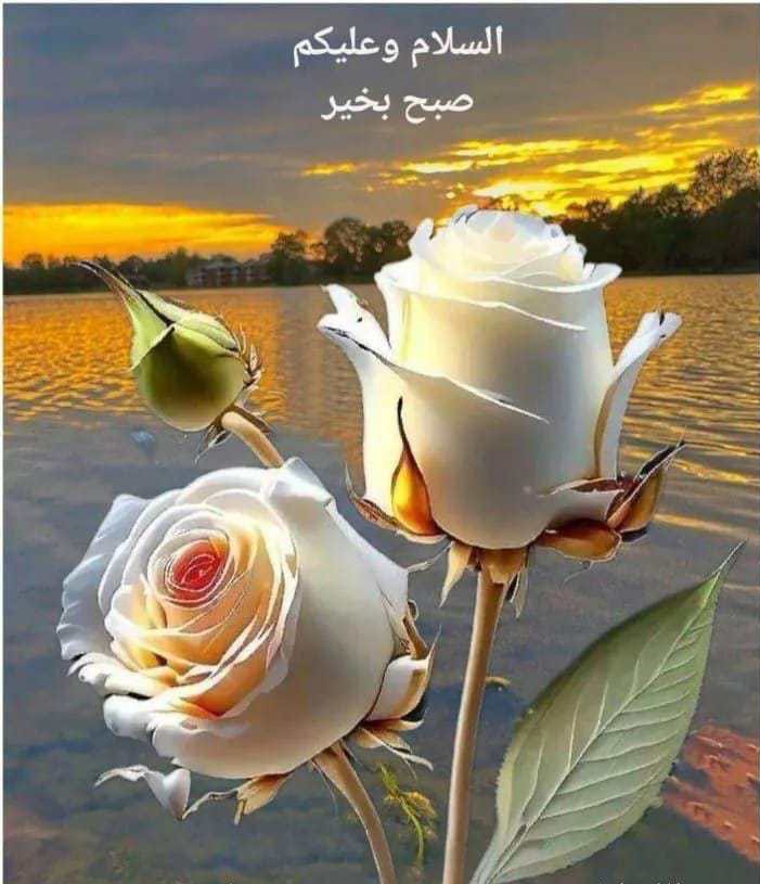 Serene Soul tweet media