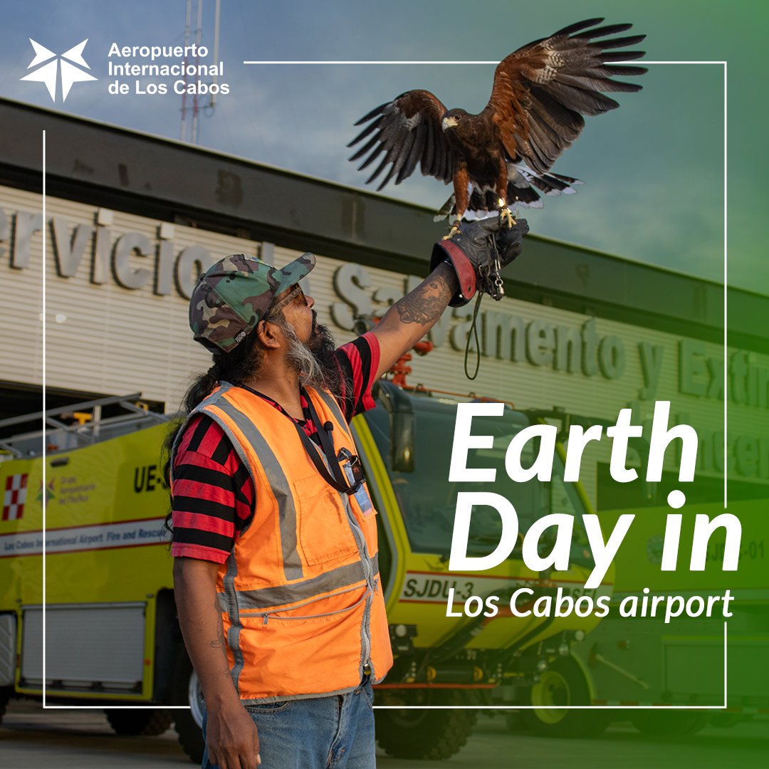 CabosAirport's tweet photo. We are proud that we are implementing concrete measures to reduce our environmental footprint and promote care for the planet. We remain committed to a sustainable future for all! ♻️💚 #EnvironmentalCommitment #Sustainability #EarthDay https://t.co/KUYp5CHaSa