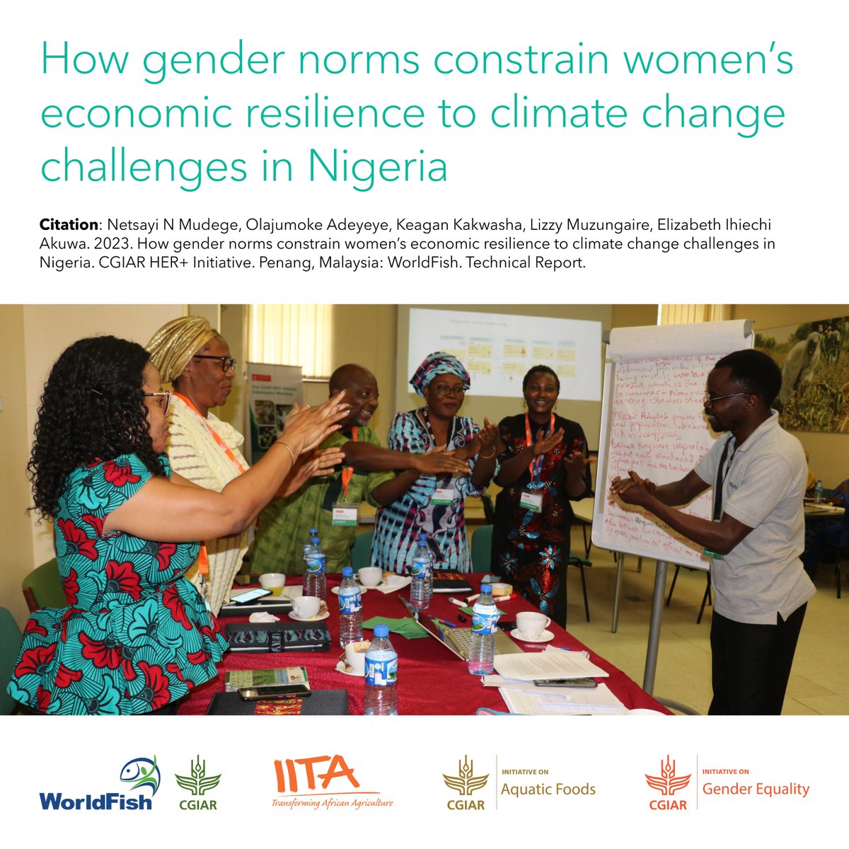 📕 How can gender norms help shape #genderdynamics and women's #economicresilience in the context of #climatechange in Nigeria? Learn more 👉 tinyurl.com/WFPub2404g

#AquaticFoods @CGIAR @CGIARGender @IITA_CGIAR @NetsayiMudege @JumokeAdey80467 @KakwashaKeagan @LMuzungaire