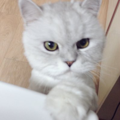 yeoslk's tweet photo. #새프로���사진 https://t.co/goByuMEdDq