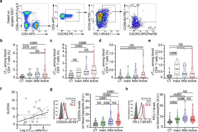PD-L1- and IL-4-expressing basophils promote pathogenic accumulation of Tfh cells in lupus @NatureComms nature.com/articles/s4146…