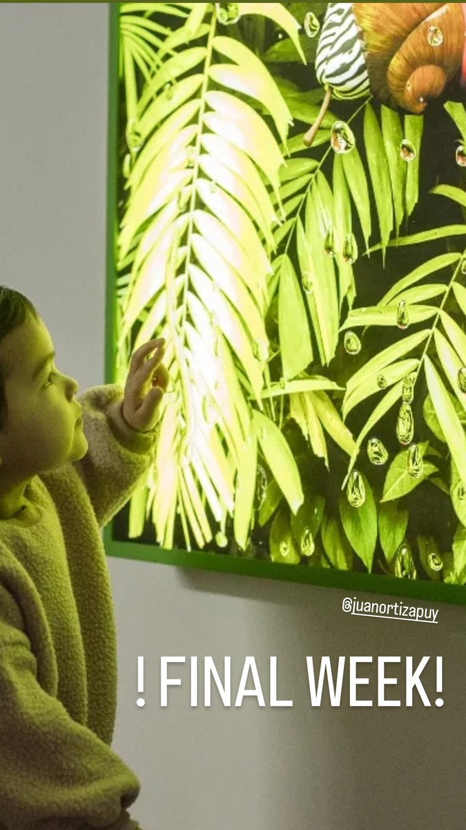 EskerFoundation's tweet photo. It's the FINAL WEEK TO VISIT!
Exhibitions Last Day is Sunday 28 April. Hurry! 🌞

#artincalgary
#artincalgaryyc
#whatsonyyc
#freeyyc https://t.co/5spTDxBc7u