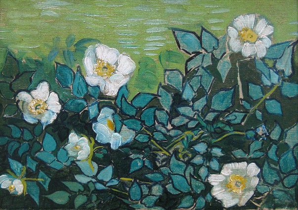 #VanGogh of the Day: Wild Roses, Spring 1889. Oil on canvas, 24.5 x 33.5 cm. Van Gogh Museum, Amsterdam. @vangoghmuseum