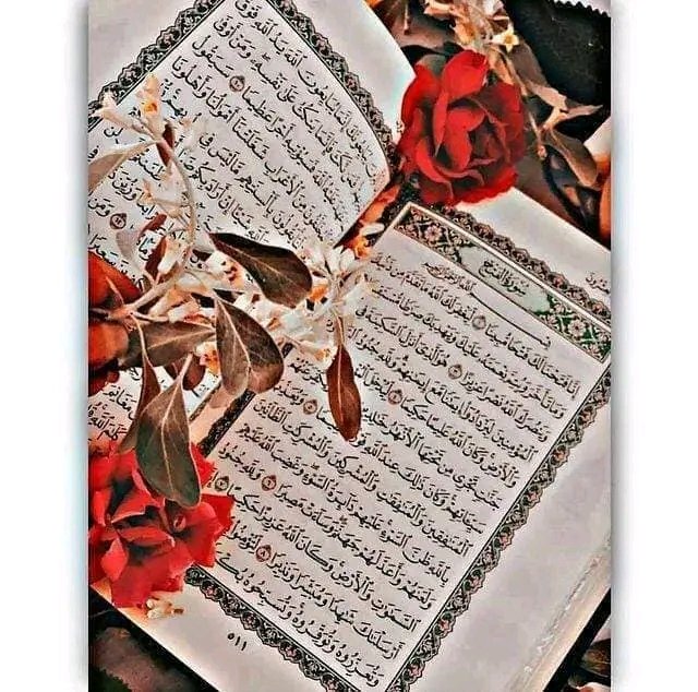 السلام علیکم ورحمتہ اللہ وبرکاتہ
❣️ صبح بخیر 💕
"وَذَكِّرْ فَاِنَّ الـذِّكْرٰى تَنْفَعُ الْمُؤْمِنِيْنَ•"🍁
"اور نصیحت کرتے رہیے بےشک ایمان والوں کو نصیحت نفع دیتی ہے۔"✨