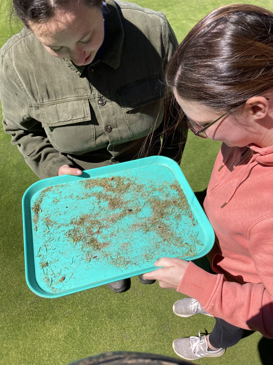 Cornell SAEL tweet media