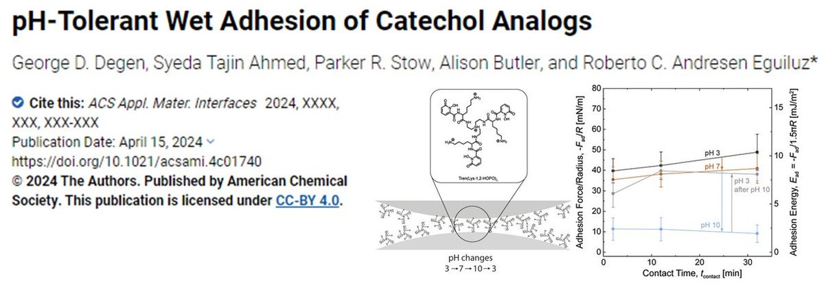 Great work by Tajin, George, and Parker in collaboration with Alison Butler (UCSB). Here, we report insight into the adhesion and oxidation of catechol analogs toward developing pH-tolerant wet adhesives for use in diverse environments. @adhesion_the pubs.acs.org/doi/full/10.10…