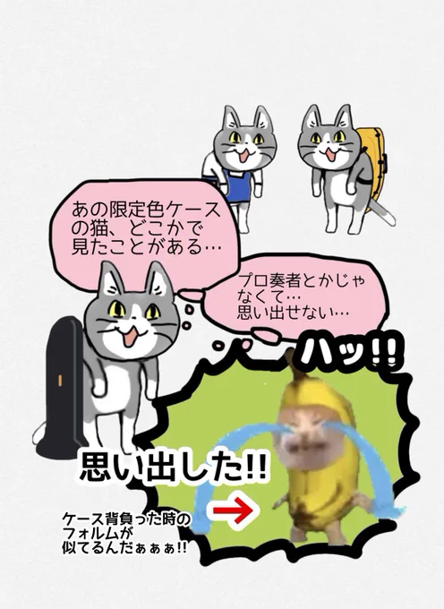 小柄な猫なら、なおよし。 