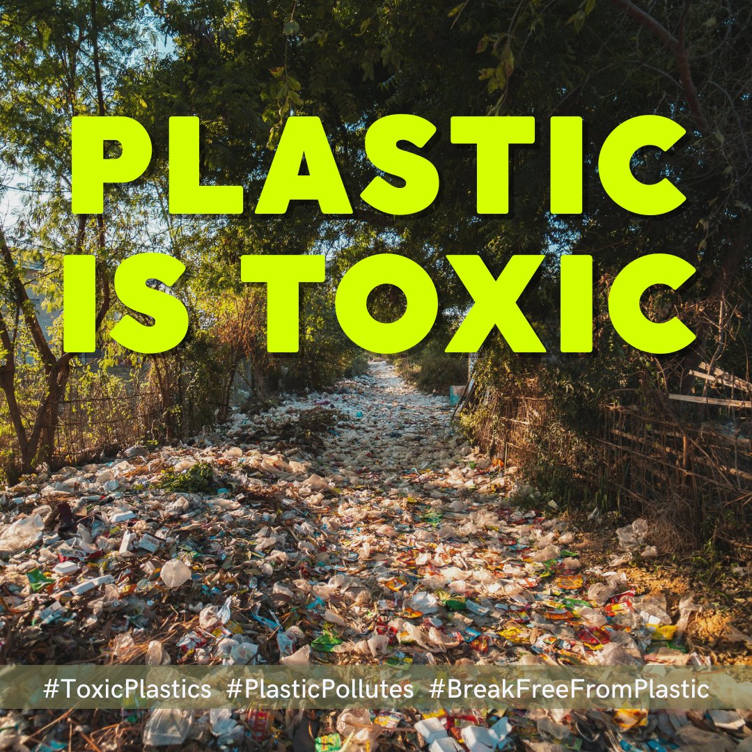 🗣️➡️All hands on deck! End the #PlasticAge with a strong  UN #PlasticsTreaty. 🌱Sign on & urge officials to cut fossil fuel and plastic ties and protect human health at #INC4.

🔗bit.ly/global-plastic…

#ToxicPlastics #PlasticPollutes #BreakFreeFromPlastic #INC4