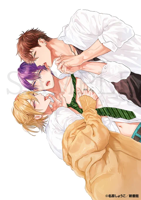 【D+C☆𝟞月の新刊】\情報解禁/⋆⸜  𝟲.𝟯(月) 𝗼𝗻 𝘀𝗮𝗹𝗲 ⸝⋆=====#名原しょうこ 先生 ( )D+C新刊『タチとネコどっちがイイの?』=====購入特典情報が解禁です〜!!幼なじみ同士の絡み合うラブトライアングル 