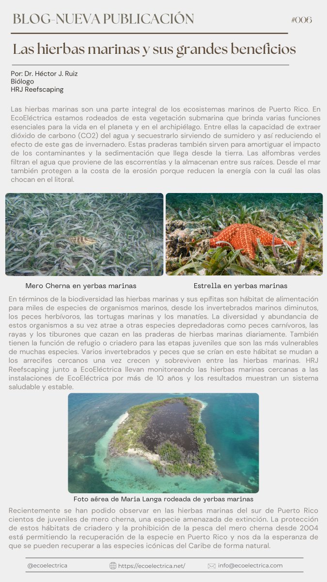 22 de abril, Día de la Tierra, fecha para tomar conciencia de la conservación y la sostenibilidad del medio ambiente e implementar medidas urgentes para el futuro. Llamado a la acción contra la triple crisis planetaria: cambio climático, pérdida de biodiversidad y contaminación.