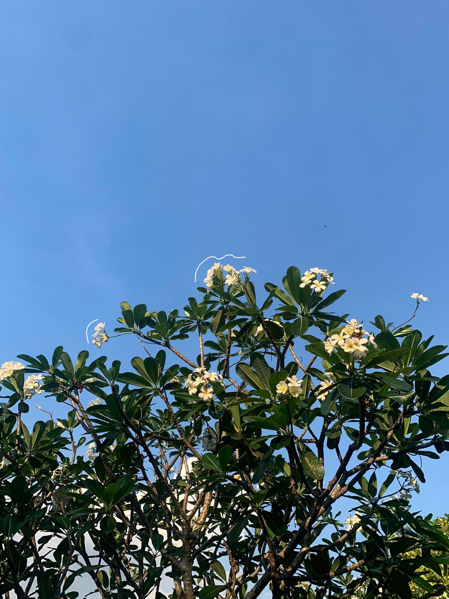 nnisebread's tweet image. ㅤbeach era last month ~  🌊
ㅤ     #studytwt #filotwt