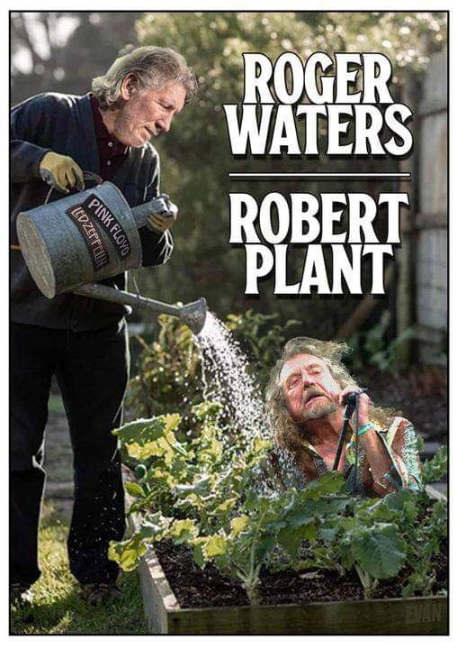 ;-)
Méritos al autor