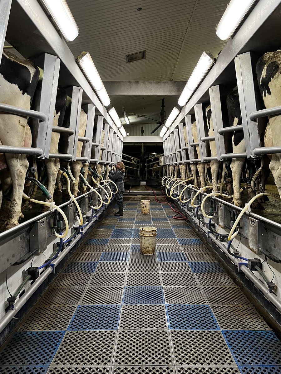 Caleigh Slits tweet media