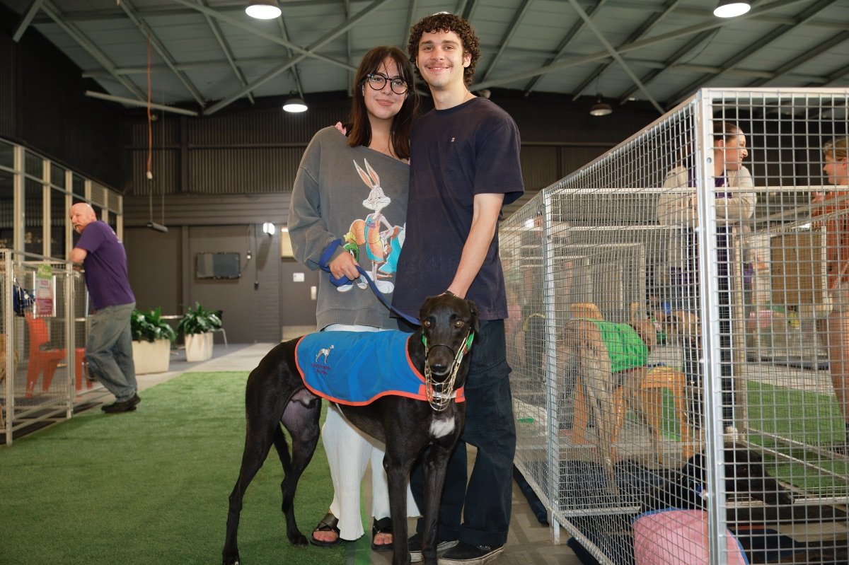 Our Cirque Du So-Grey: ADOPTION DAY! was a huge success, with 18 of our gorgeous greyhounds now in their forever homes. 📷

Here are some snaps from the event...
📷 via Ash Penhall Greyhound Photography

#greyhoundsaspets #greyhounds #weloveourdogs