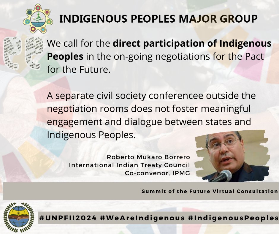 #UNPFII2024 | Statement of IPMG during the Summit of the Future Virtual Consultation delivered by @MukaroBorrero, one of the co-convenors of IPMG.

Read the full statement here: bit.ly/3xVGONo

#WeAreIndigenous #IndigenousPeoples