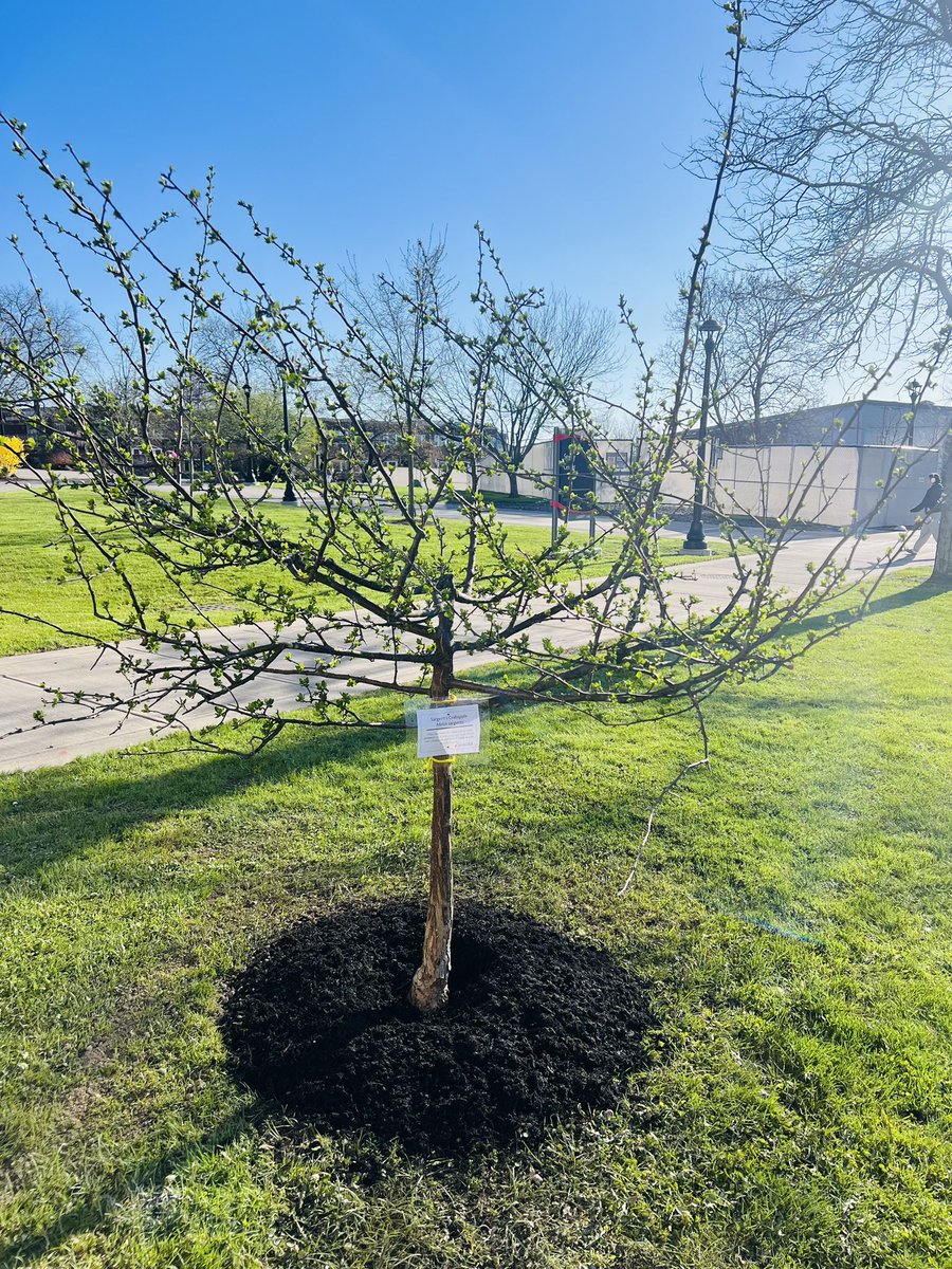 Dr. John B. King, Jr. tweet media