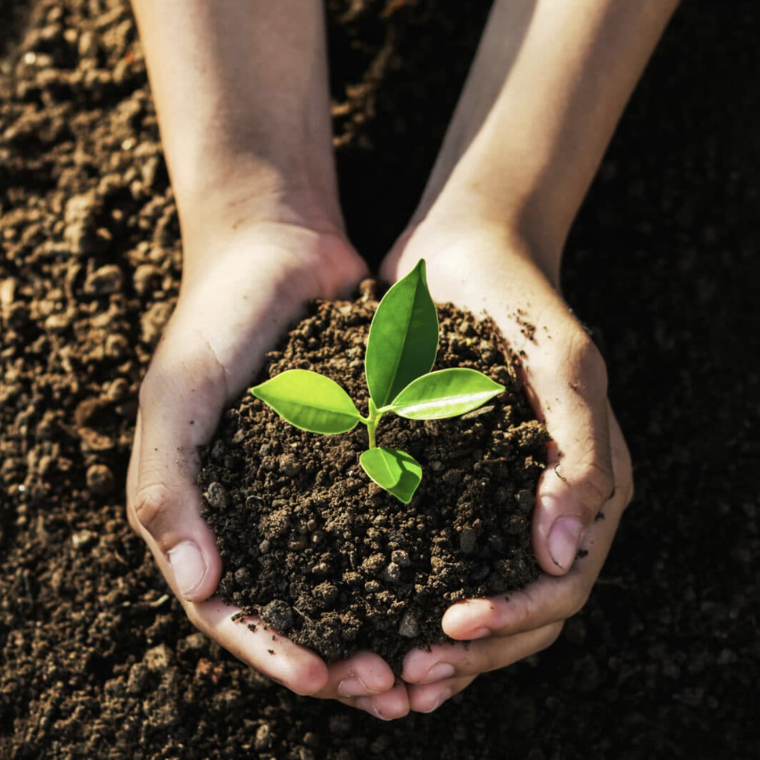 we_make_change_'s tweet photo. Today is Earth Day! 🌎 
According to the Earth Day organization, over three billion students lack environmental education. We hope this Earth Day inspires you to help preserve our planet and educate others about the environment! 🌱
#EarthDay2024  #environment  #SocialJustice https://t.co/tD993YRLBz