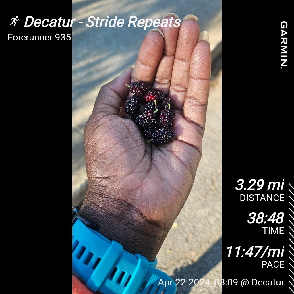 It's mulberry season. The run and eat series is back. I am sad to learn that my favorite mulberry tree was cut down. 😭 #bibchat #runatl #runchat #leagueofgarmin #womensrunningcommunity