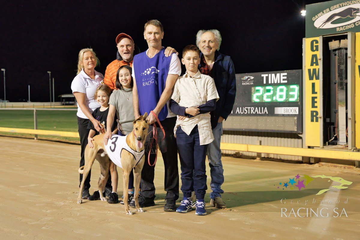 Another big week of action at Gawler culminating in a terrific program last Sunday night! Catch up on this and all the action with our week in review!

📷 bit.ly/3UteNpi
📷 Ash Penhall Greyhound Photography
#weloveourdogs #greyhoundracing #greyhounds