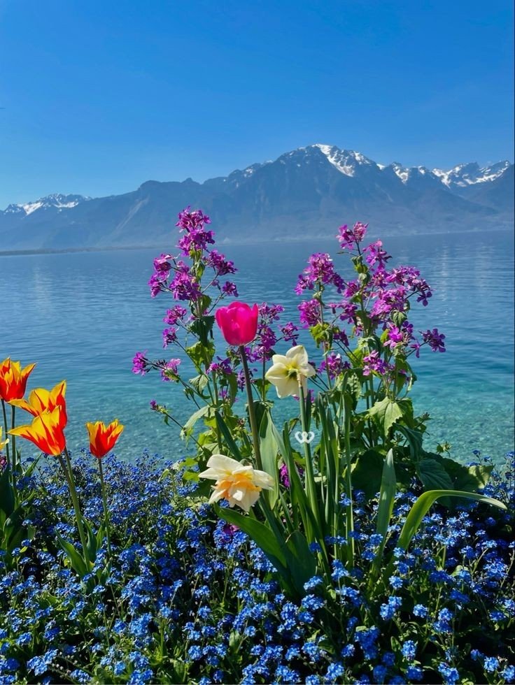 TLeoni311's tweet photo. Good morning ☀️ https://t.co/xOHV7QgZfv