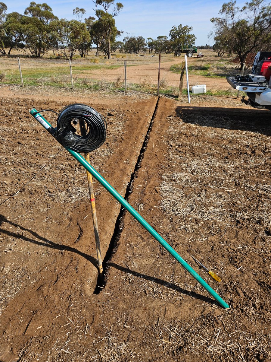 Leighton Wilksch tweet media