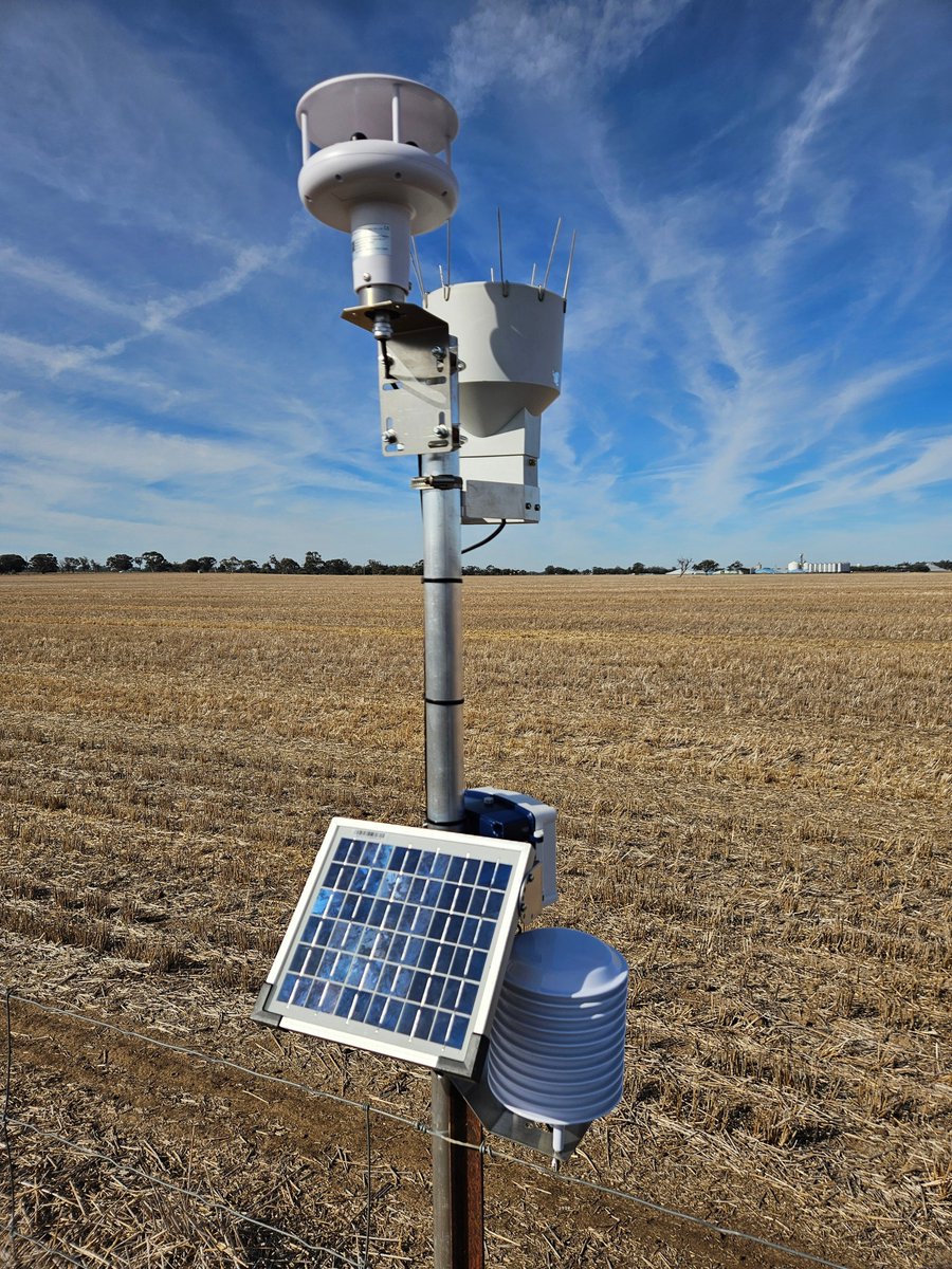 Leighton Wilksch tweet media