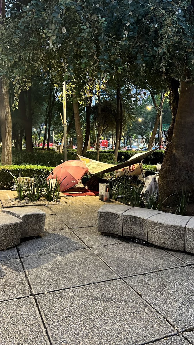 ClaudiaShelley's tweet photo. Urge solución, hay un campamento de personas sin hogar en Reforma y Río Nilo, algunos muy agresivo si no se les da dinero o comida @martibatres @GobCDMX @UCS_GCDMX @lacuauhtemoc https://t.co/9JSTI5iKqw