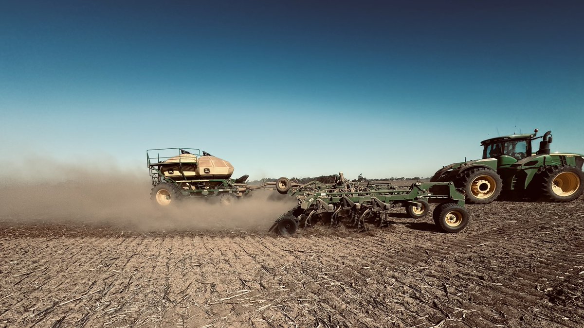 #plant24 continues on a #bluebird day which is good news for all the #beer and #milo drinkers out there, including in #China! #barley #grains #AusAg #familyfarming