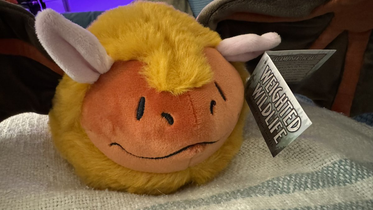 If anyone needs me, don’t. Me and my hefty nugget buddy are busy snuggling for the foreseeable future #weightedwildlife