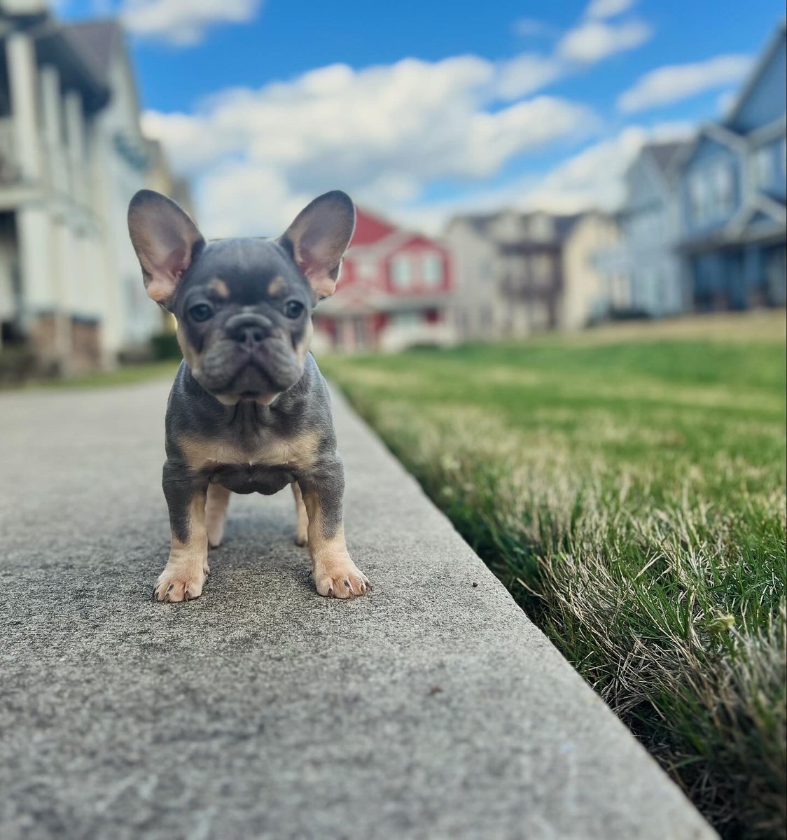 Brad Anderson II tweet media