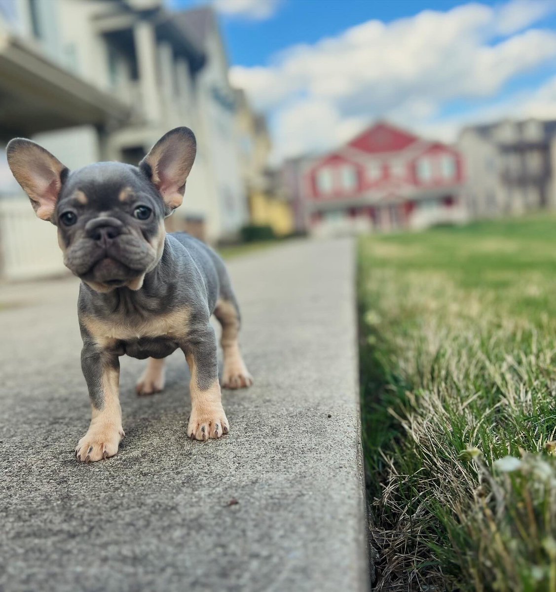 Brad Anderson II tweet media