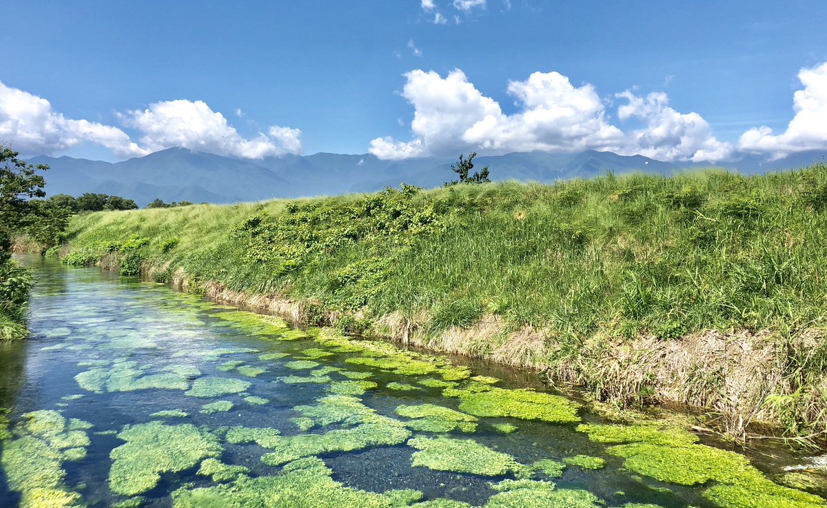 典型的な湧水河川置いときますね