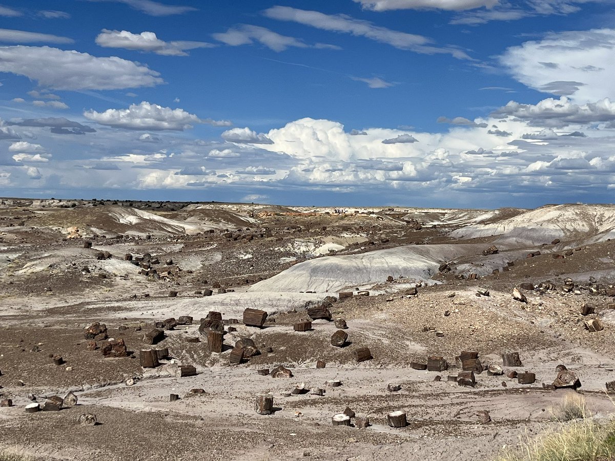 #RockinTuesday and #NationalParkWeek I was looking through my pictures from a trip to the Petrified Forest National Park & rediscovered this otherworldly shot I took.