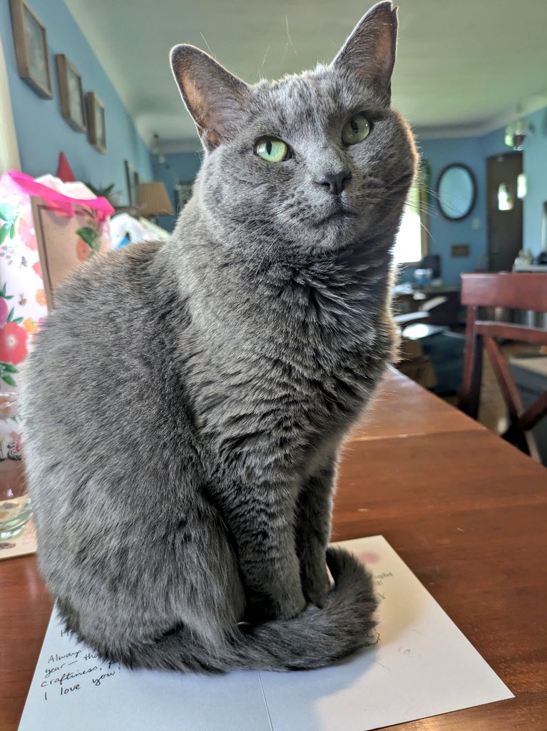 Annie Nickoloff tweet media