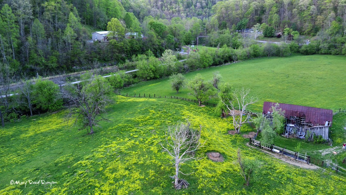 Beautiful #spring evening 💚#HatfieldKY @WYMT @brobwx @WSAZBrandon @SpencerWeather @Kentuckyweather @cjwxguy56 @JoshFitzWx #ekywx #kywx #sekywx #Kentucky